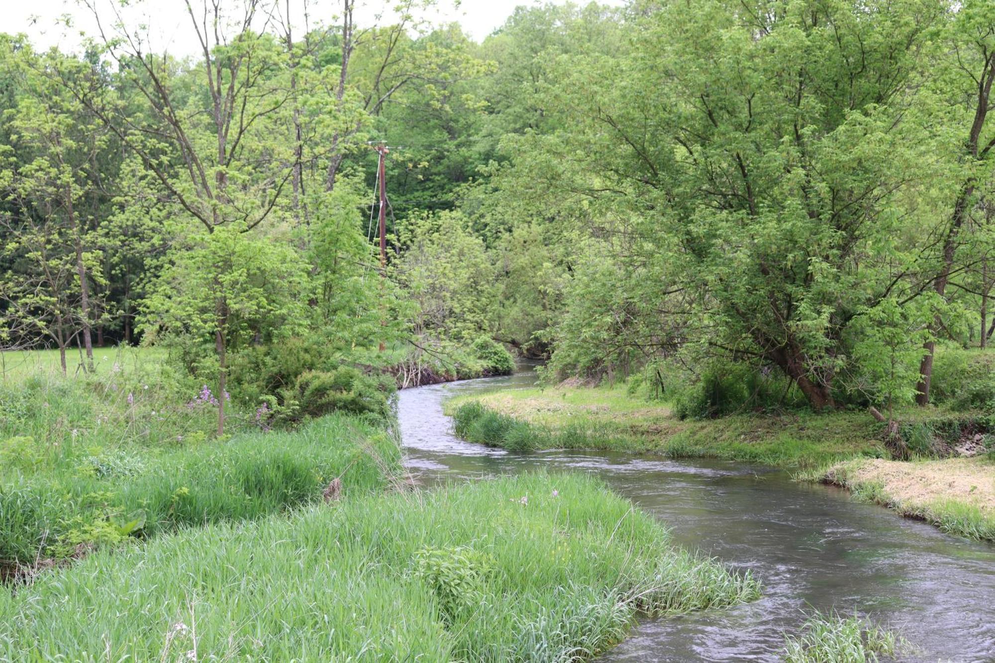 Penn's Creek Symphony *