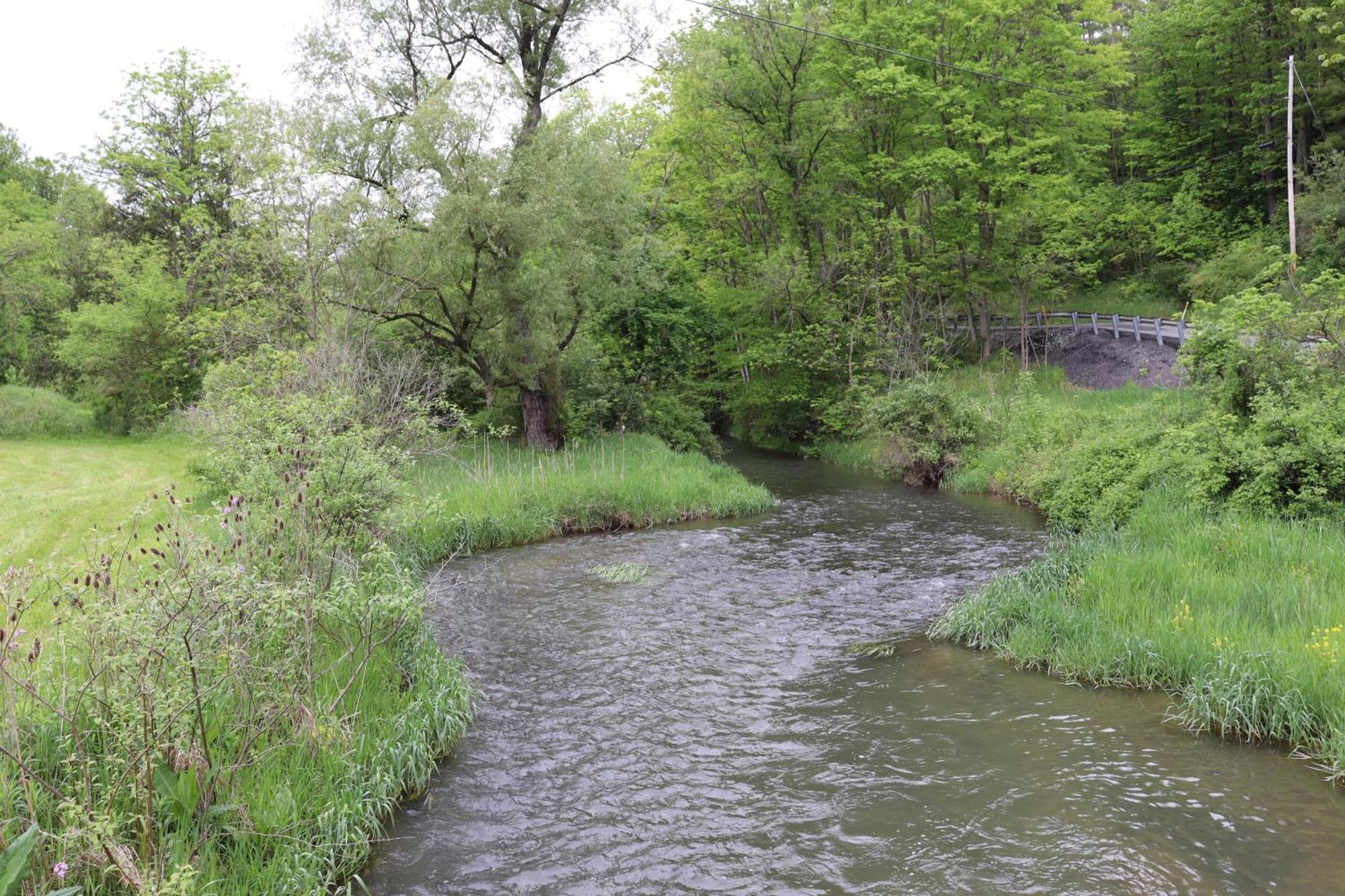 Penn's Creek Symphony * Spring Mills